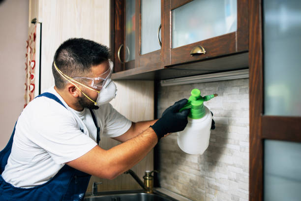 Best Bed Bug Extermination  in West Palm Beach, FL