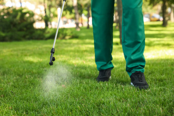 Wasp Removal Services in West Palm Beach, FL