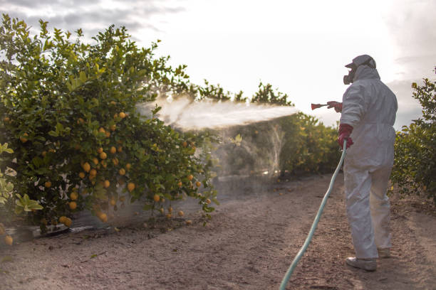 West Palm Beach, FL Pest Control Company