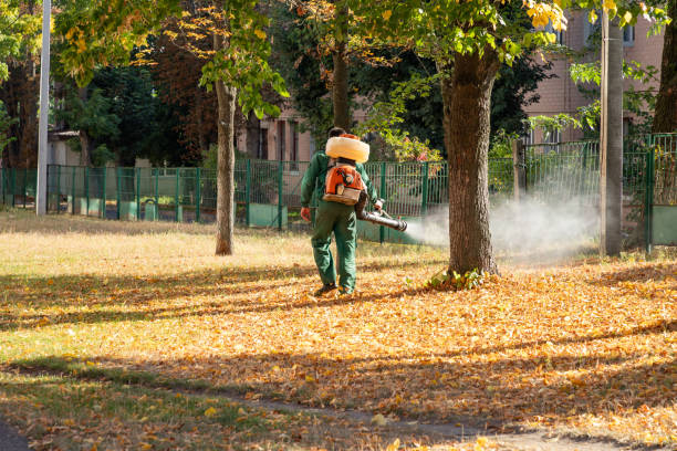 Best Bed Bug Extermination  in West Palm Beach, FL
