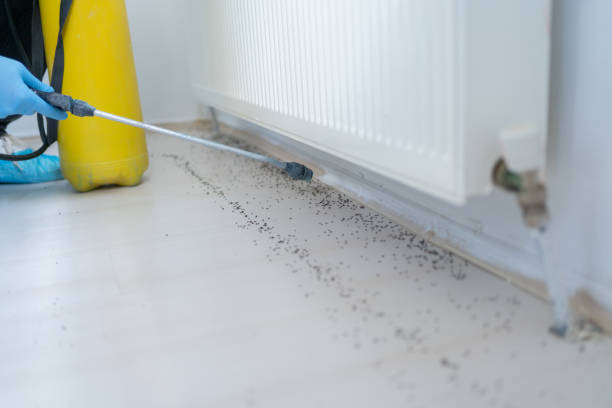 Pest Control for Restaurants in West Palm Beach, FL